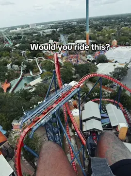 Would you ride this? #fyp #fyppppppppppppppppppppppp #rollercoastertiktok 