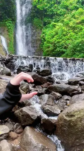 Awali Healing mu dengan nescafe 💥 @Hhoshh hhoshh  #nescafe #curugbogor #curug #trend #infohealing #fypage #4u #bestie #fyppppppppppppppppppppppp #HealingJourney #healing_through_nature #curugcilember #pesonaindonesia #pesonaalamindonesia #nescafegoldcremaxjacksonwang 