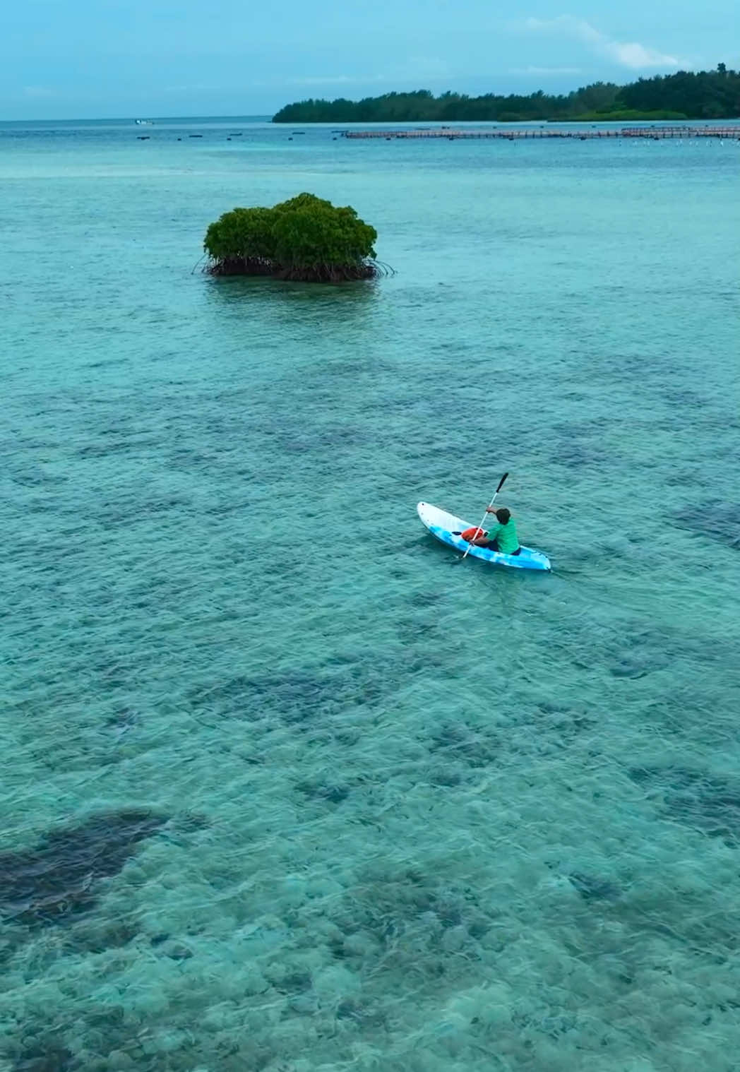 Kapan lagi main kano sambil di shoot pake drone 🔥 . . . . . #pulauharapan #pulaupramuka #pulauseribu #explorepulauseribu #hiddengems #kano #opentrip #trippulauseribu #pulaupangan #pulaupari #asharesort #jakarta #pulautidung 