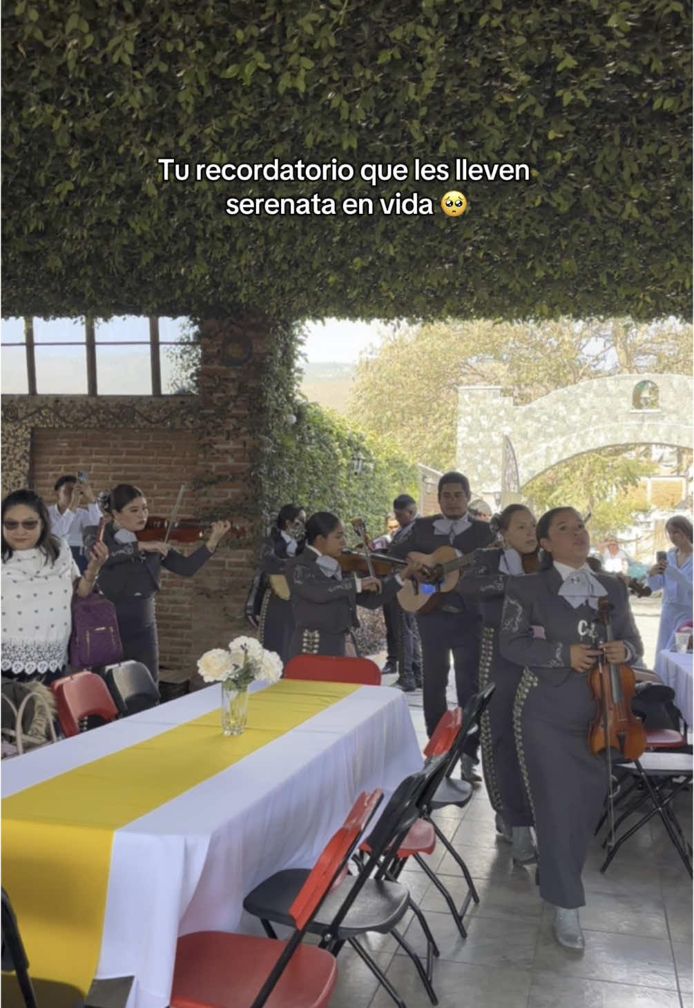 Mi abuelito tan chulo 🥺🩷🫶🏻 #abuelito #95yearsyoung #95años #abuelitoslindos #serenata #felizcumpleaños #envida #fyp #foryou #jalisco 