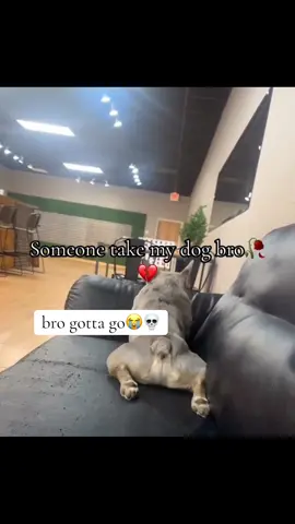 #dog #trending #core #fyp #real