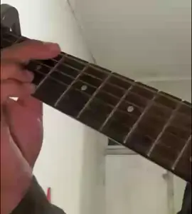 halu - feby (cover)