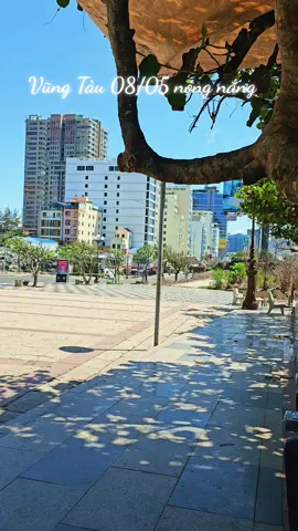 nắng nóng quá khách du lịch trốn đi đâu hết rồi #nhachaymoingay #kiuctuoitho #vungtau #dulichvietnam #đờisống 