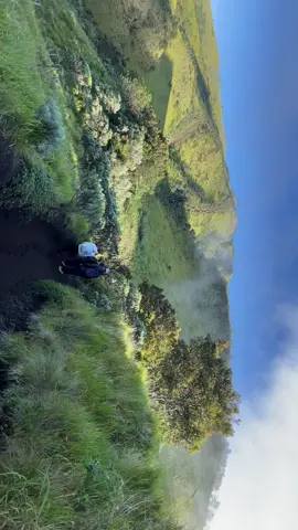 merbabu aku udah balik lagi🤩 #merbabumountain #merbabuviaselo #merbabuviathekelan #merbabu #merbabuviasuwanting #merbabu3142mdpl #Hiking 