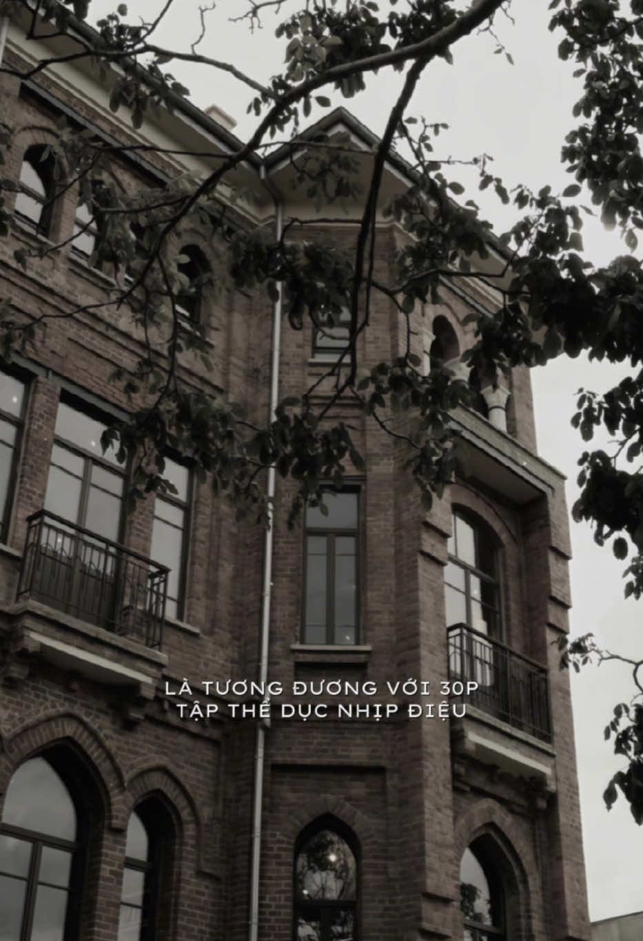 Chỉ cần ngắm gái đẹp 10p #lunyentertainment #cucmanh 