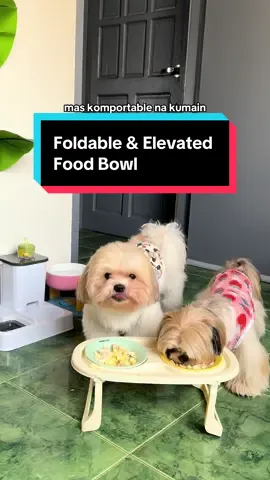 mas gumanda din posture nila dahil dito sa elevated food bowl 🤭 #dogsoftiktok #shihtzu #dogbowl #elevatedfoodbowl #elevatedbowl #petbowl #fyp 