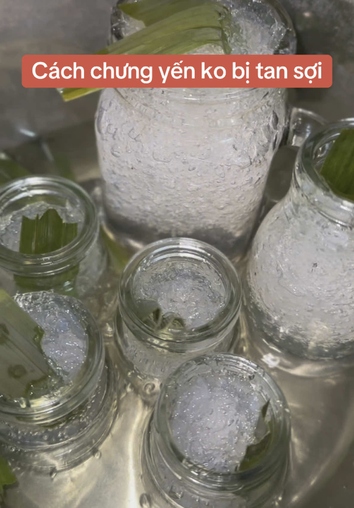 Cách chưng yến ko bị tan sợi!!!#yensaokiengiang13 #yensao #yentho #toyentinhche 