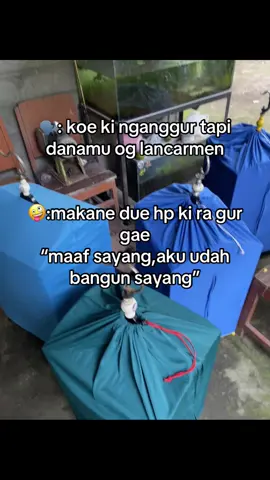 bisnis og wkwkw#kicaumaniaindonesia#kenarimaniaindonesia 
