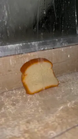 bread #bread 