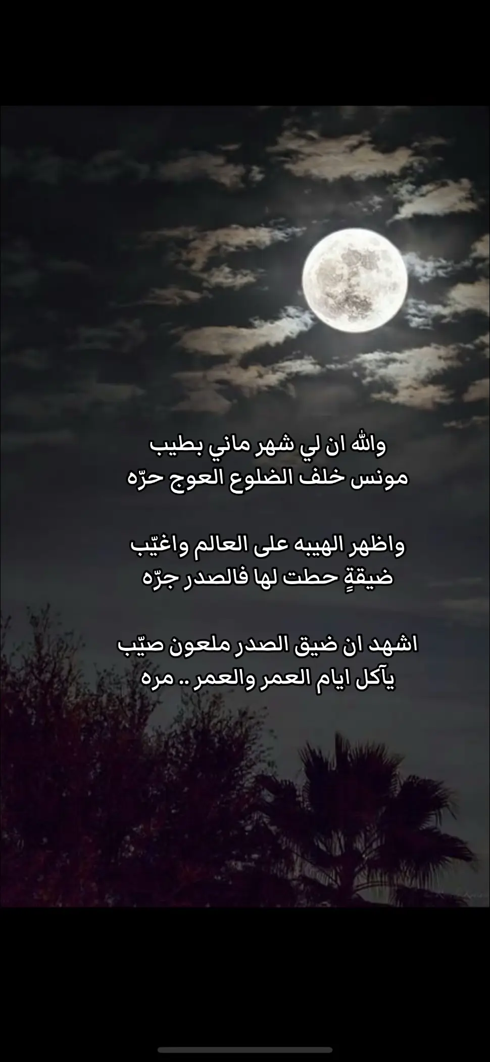 #شعراء_وذواقين_الشعر_الشعبي #قصيده_شعر_بوح_كلام_من_ذهب 
