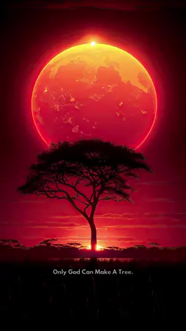ONLY GOD CAN MAKE A TREE -No human hand, no machine, no amount of science can create life from nothing. We can plant, we can water, we can study—but only God gives the growth. A single tree testifies to His design, His beauty, and His power. Its roots stretch deep like faith, its branches reach upward like worship, and its fruit reminds us of His provision. As the poet Joyce Kilmer once wrote, “Poems are made by fools like me, but only God can make a tree.” #jesusisgod #godisgreat  #Biblicalist #ChristianMotivation #FaithMindset #TruthBeTold #SpiritualGrowth #BibleTruth #LifeLessons #Christianity #JapanTikTok #USATikTok #FYP
