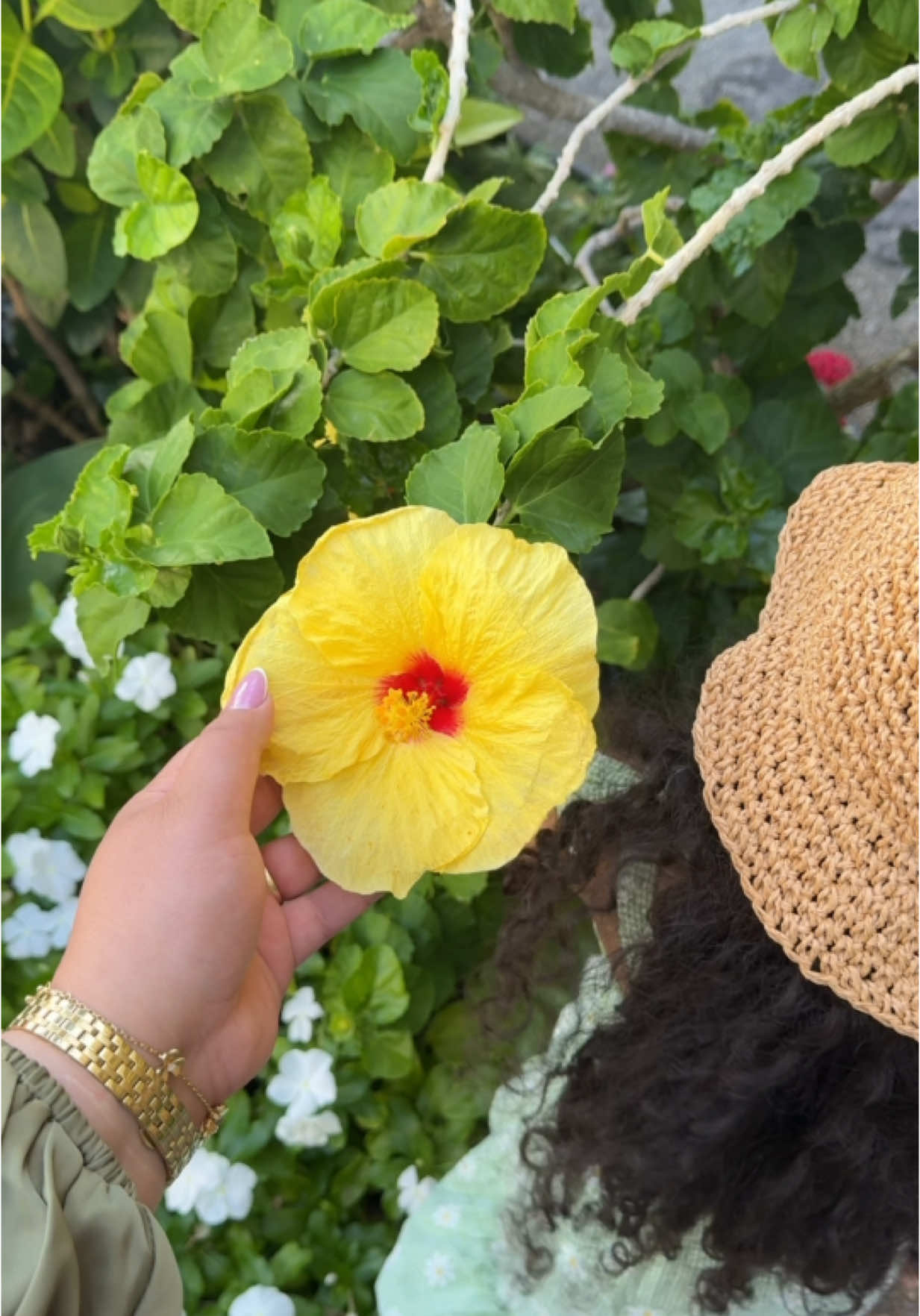 A green day in hawaii 💚🌴✨ #alhamdulillah #هنولولو #fypシ #hawaiivlog #minivlog #spoiledwife #nyc #yemeni #iraqia #wikiki #oahu 