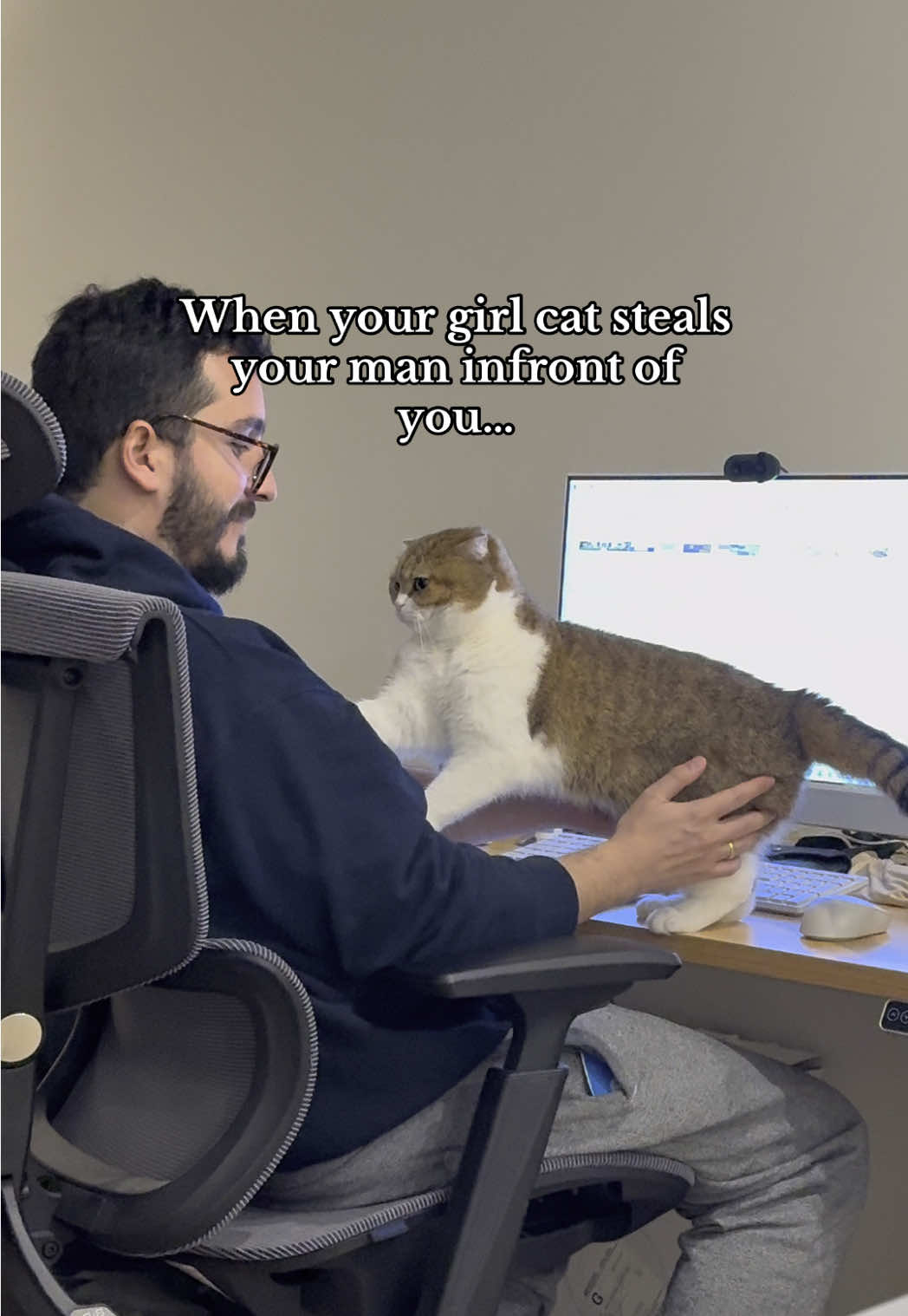 The way Phoebe looked at me in the end 😭😂  #cat #catsoftiktok #girlcat #daddysgirl #catmomlife #thirdwheel #funnycat #relatable 