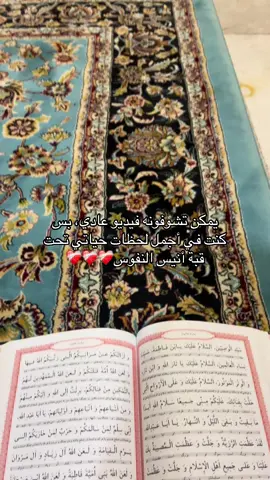 #امام_الرضا #مشهد#الرضا #الضامن#انيس_النفوس #انيس_القلوب #ضامن_آهو #السلطان_علي_ابن_موسى_الرضا 