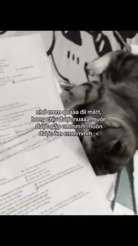 #nnt537 nhớ emm 🥹