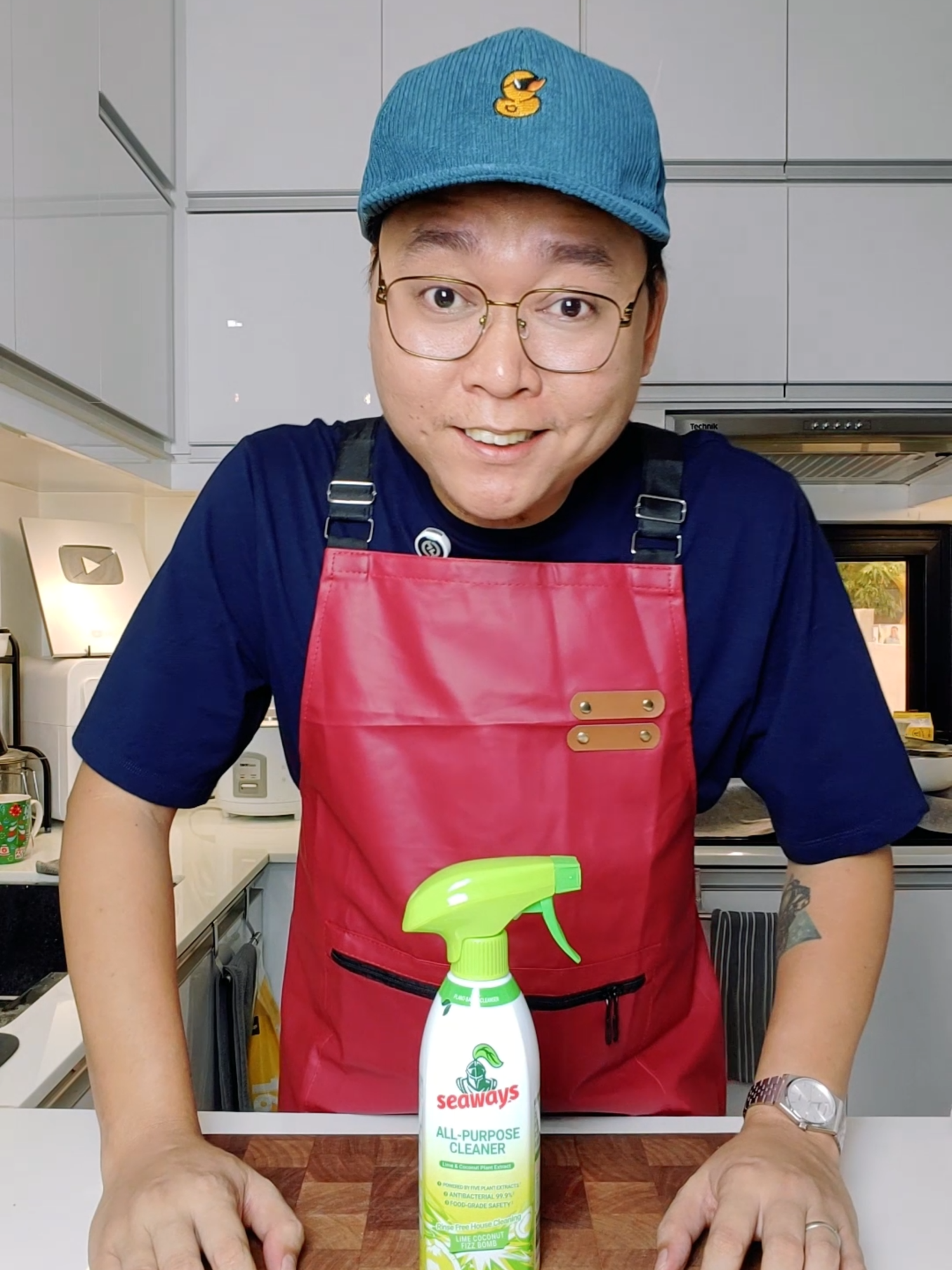 Seaways Multipurpose Cleaner Antibacterial Natural Food Grade Home Kitchen Car Oven Appliances Furniture