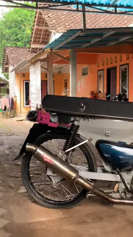 hayy#grandhalu #cacingangank🤙 
