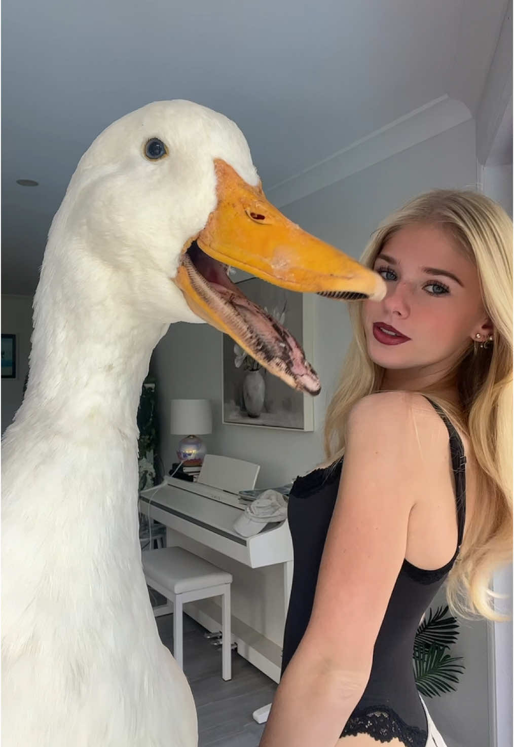 ducky #duck 