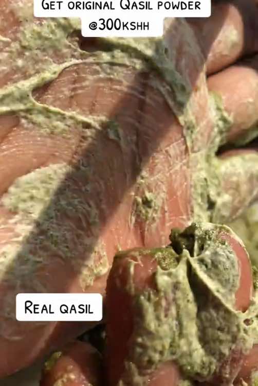 Qasil powder for a clear skin✨🌿 #clearskin #originalqasil #qasilcleanser #qasilfacemask #glowingskin #clearskin #naturalcleanser #qasilkenya #kenyatiktok #kenyantrends #tiktokke #fypkenya #kenyantiktok #muturaisnotafruit😜 #kenyatokers #tiktoknairobi #fypnairobikenya🇰🇪🇰🇪🇰🇪🇰🇪💯💯 #muturaisafruit #fypsound #fypp #fyppage #foru #virallll #fypvideo #qasilfacemask #qasil #fyp #BeautyReview #realqasil #fakeqasil #fypp #fypviralシツ♡ #fyptiktokviralシ🔥💯🖤 #glowyskin #clearskin 