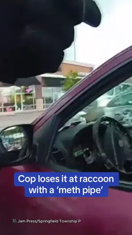 An Ohio woman has been arrested in a traffic stop after police caught her raccoon with a meth pipe. Springfield Township Police pulled the woman over as she had active warrant and a suspended driver's license, but 'Chewy' the racoon had the cops in fits of laughter as he 'tried to smoke.' Fortunately the police confirmed 'no raccoons were hurt or injured in this incident.'  🎥 Jam Press/Springfield Township P #usa #crime #cops #racoon #news
