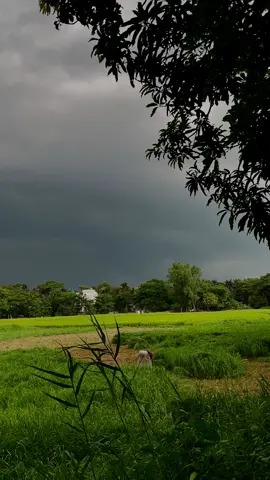 বৃষ্টি আসার আগ মূহুর্ত ভয়ংকর সুন্দর 🍃🙂 #foryoupage #fyp #tiktokbangladesh #bdtiktokofficial🇧🇩 #unfrezzmyaccount #ayansutra928 @TikTok @TikTok Bangladesh 