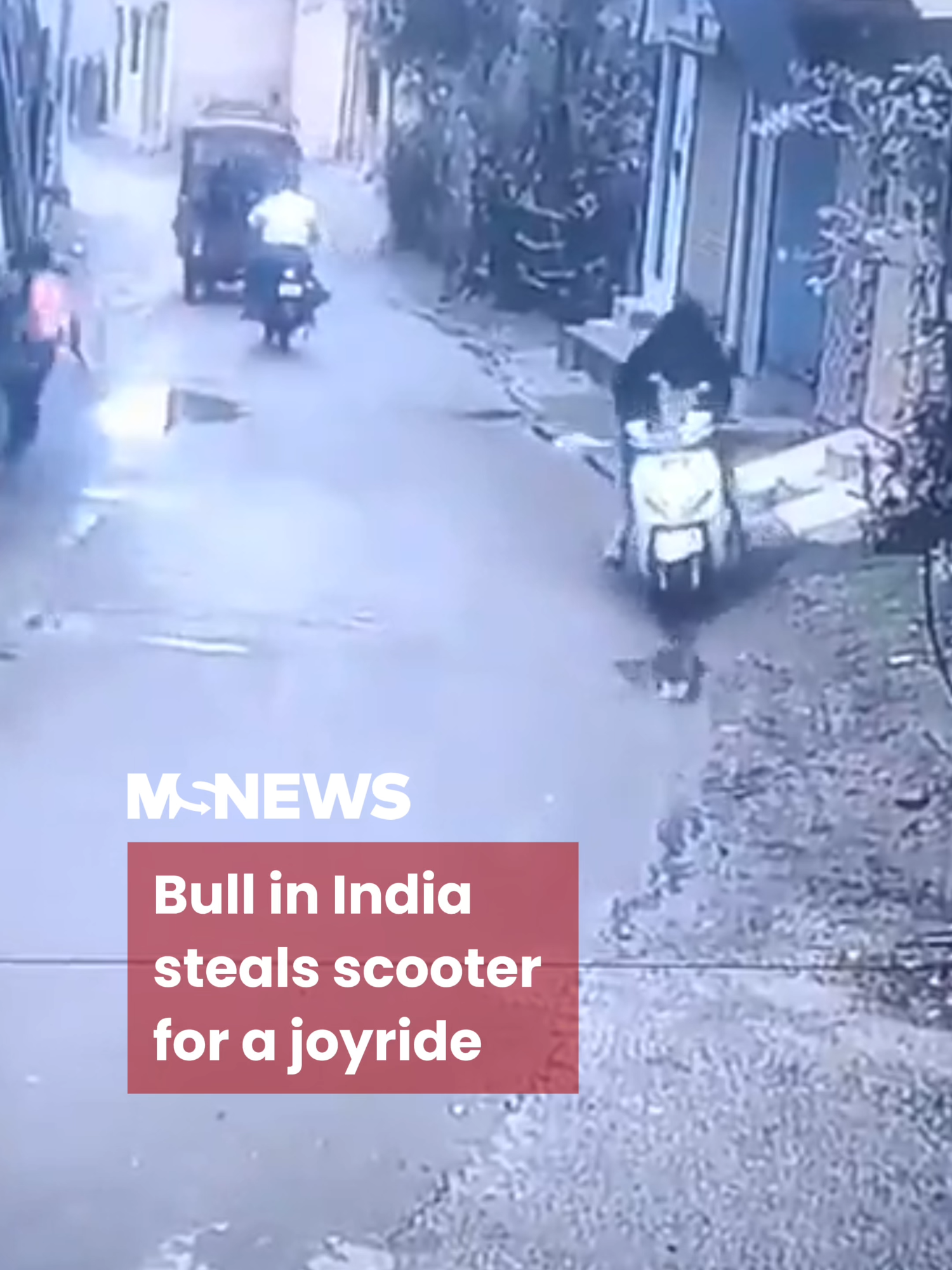 When you let your intrusive thoughts win 🛵💨🐃 #mustsharenews #fypsg #tiktoksg