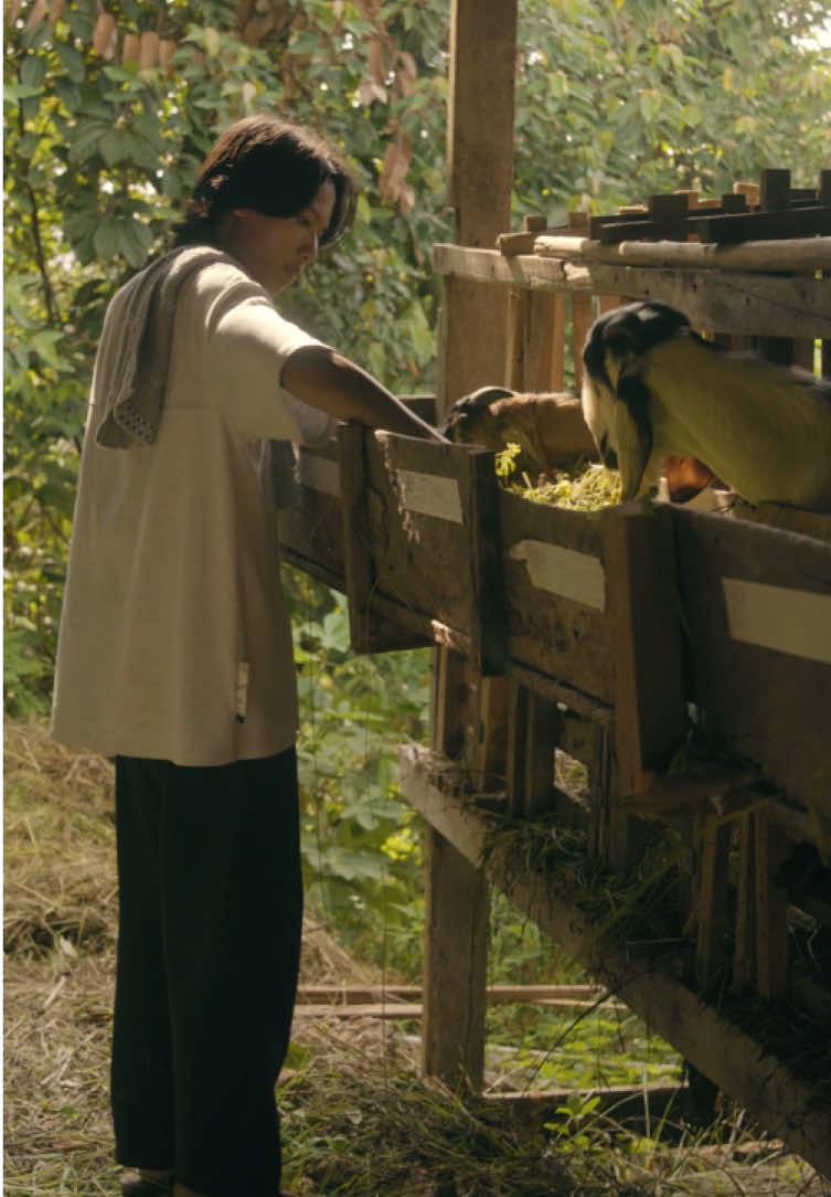 Uang tak ada, kembalilah ke alam🍃 . #cinematic #vibes #film 