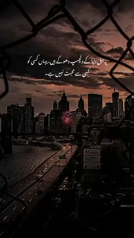 💯🙂. #urdlines🥀 #deeplines #unfrezzmyaccount #viewsproblem😭 #foryou #foryoupage #trending #onemillionaudition #plz TikTok team unfreezemyaccount @TiktokPakistanOfficial 