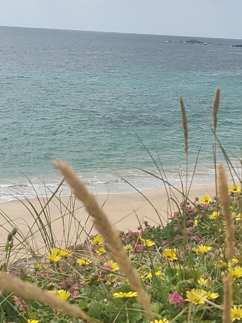 #searelax🌊 #ocean #wonderfulworld #beautifulbeach #marazul #beautifulbeachview 