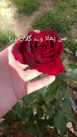 #foryourpage #🥀❤😘❤😘🥀❤🥀🥀 #foryou❤️❤️❤️ 
