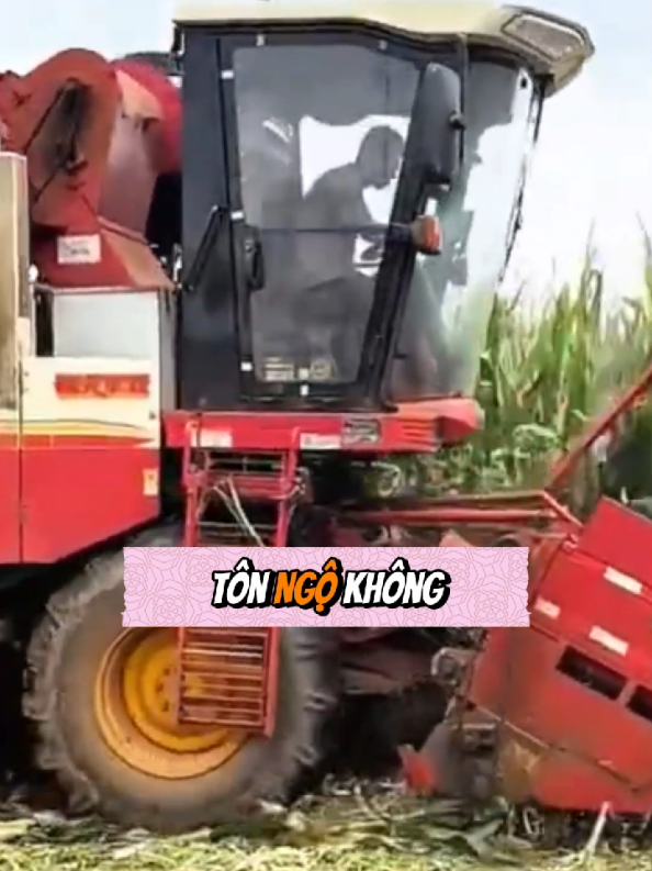 Thủy Hử là để cho bạn thấy rõ, anh em đôi khi lại là vỏ bọc cho tham vọng và lợi ích #tưduy #tưduycuộcsống #bàihọccuộcsống #bảnchấtconngười #lýthuyếttròchơi thuyếttròchơi