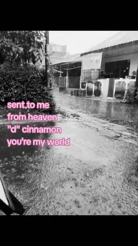 🫨🫨 #fyp #foryou #d #trending #sallycinnamon 