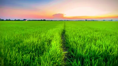 Nổi buồn mẹ tôi #chill #binhyen #tamtrang #hoanghon #63tiengiang #xuhuong #lofi #mientay 