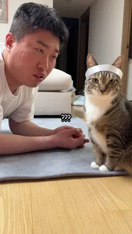 부묘님께 카네이션 드리기