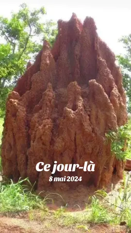 #cejour-là #cejour-là 