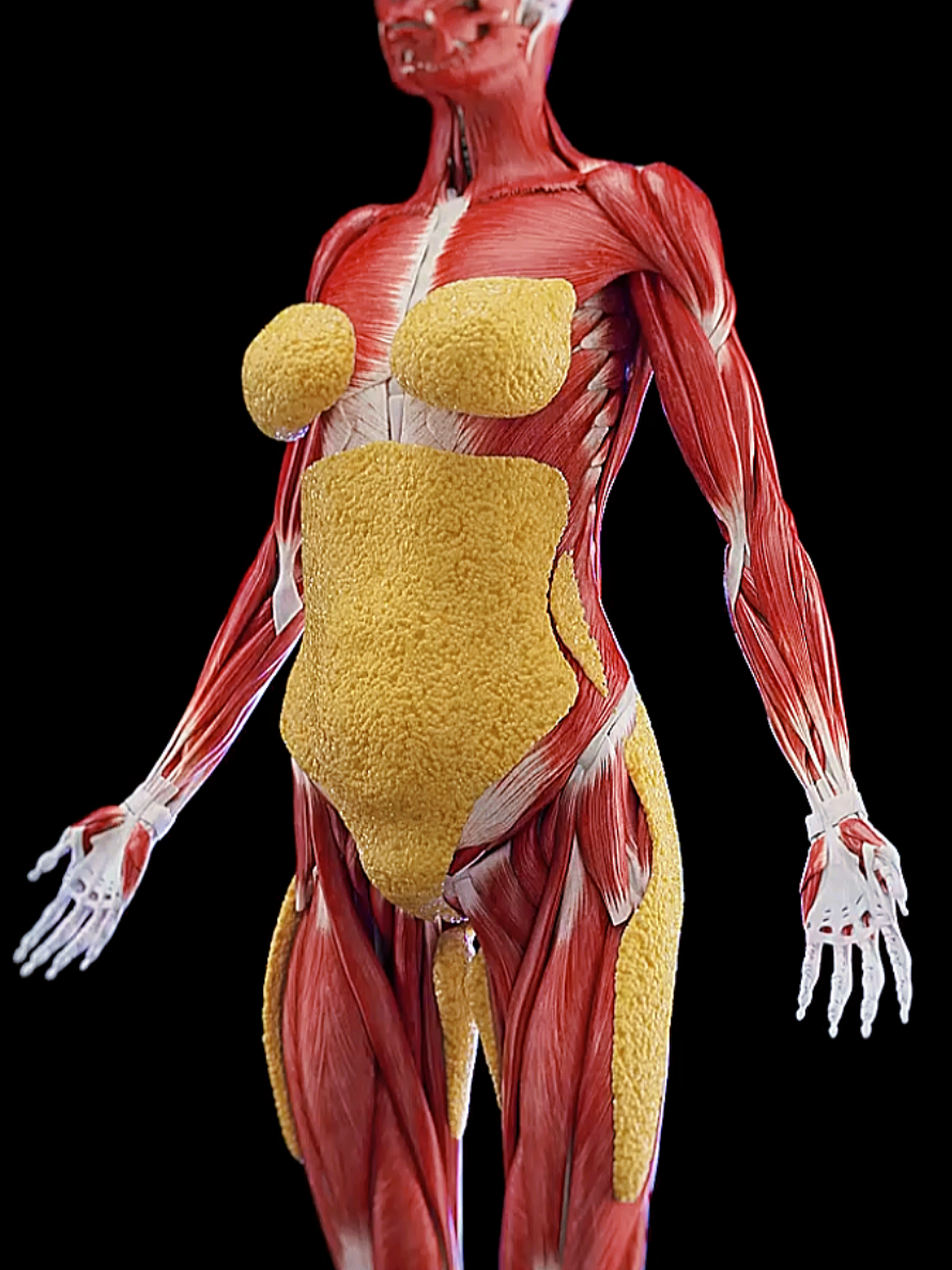 #WeightLossJourney   #HealthyLifestyle   #FatToFit   #FitnessMotivation   #LoseWeightNaturally   #BodyTransformation   #HomeWorkout   #HealthyChoices   #WeightLossTips   #FitnessGoals   #CalorieDeficit   #WorkoutRoutine   #HealthAndWellness   #FatBurning   #NaturalWeightLoss   #SelfCareJourney   #SlimmingTips   #GetInShape   #StayHealthy   #fitlife 