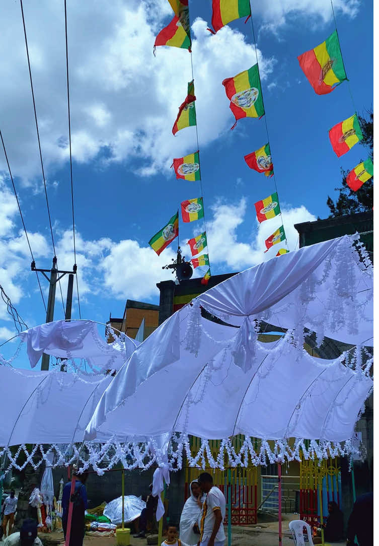 #ልደታ_ማርያም #ኦርቶዶክስ_ተዋህዶ_ፀንታ_ለዘለዓለም_ትኑር 