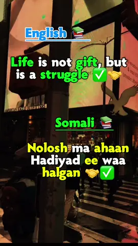 #CapCut #foryoupage #realmanka #tik_tok #fyp #foryoupage #somalilandtiktok💚🤍❤ 