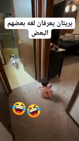 #مصر🇪🇬 