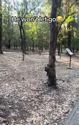 You move,I follow😂😂.. #fyp #animal #animalsoftiktok #animallover #viralvideos 