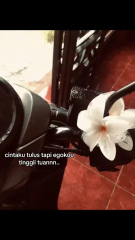 🥀. #4u #foryupage #moots? #galau 