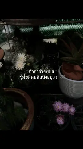 👀💗#แท็กแฟน #เธรด  