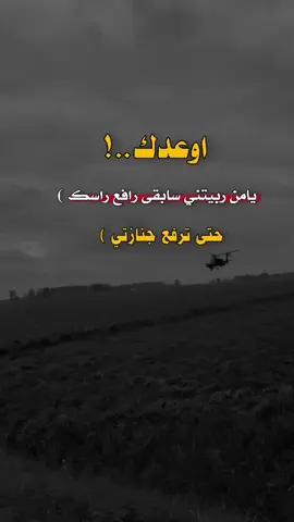 #فيديوهات # عبارات # تصاميم # مسقي # اليمن # اب # تعز # صنعاء # ذمار # المحويت # الحديده # عدن # يافع # 