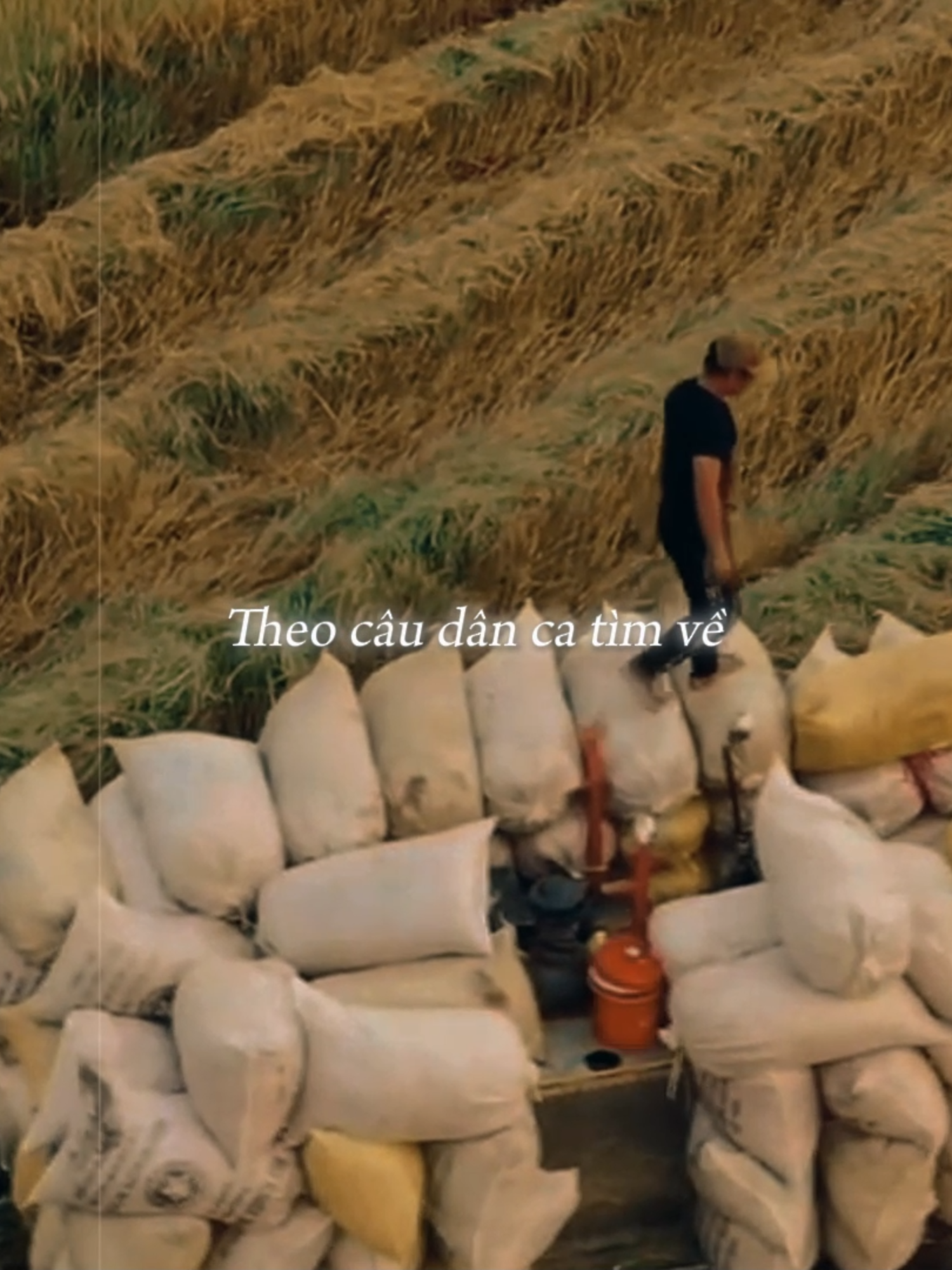 Nhớ kỷ niệm xưa #antertainment #betamusic #giaidieuxua #canhdep #canhdepthiennhien #nhac #quehuong #lofi #huongly #timve #chatoinguoiolai