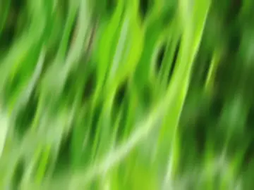 #CapCut #اكسبلور #تصويري📸 #مصمم_فيديوهات🎬🎵 #الشعب_الصيني_ماله_حل😂😂 #الشعب_الصيني_ماله_حل😂😂 