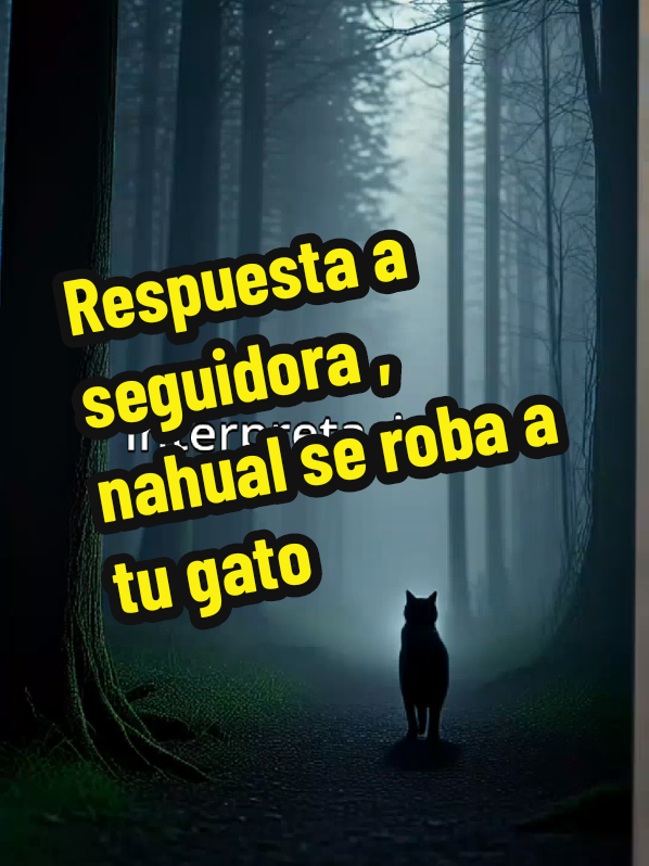 ¿El Nahual se Llevó a Tu Gato? Descubre su Significado ¿Te has preguntado qué significa soñar que un nahual roba a tu gato? Aquí te explico el simbolismo detrás de este misterio. ¡Comenta tu sueño! #Nahual #Gatos #Sueños #Misterio #Interpretación #TikTok @°•°★Xochitl Ahuactzin★°•° 