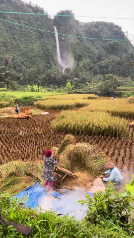 Gugah bbo di payuneun buni bah jajang 🥺kieu raosna janten urang sunda asli teh  #abahjajang #curugcitambur #tempatviral 