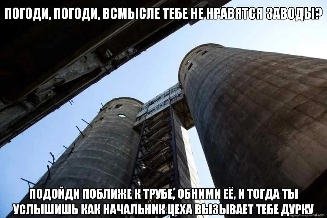 На самом деле это голос завода #пиво #рекомендации #шиза #завод #хз 