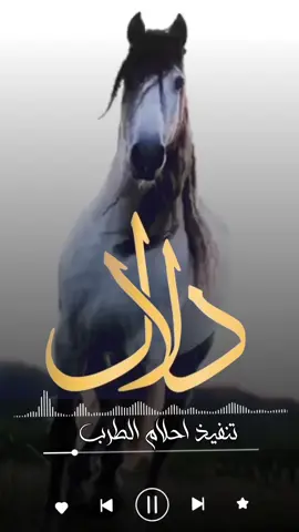 يادلال انا تهيضت من شانيك  شيله باسم دلال جديد موضي اصليه مجانيها  شيله باسم موضي  جتب بنت الشيخ ياالله وقفوا ريم  شيله باسم ريم جديد  فاطمه للشاشه البيض نظخرها رصيد  شيله باسم فاطمه  وين ذكرت محمد المد المبنى  شيله باسم محمد  مرحبا يا نايف المطنوخ  شيله باسم نايف إدا مهنا العتيبي  #استديو_احلام_الطرب  #اكسبلوررررررررررررررررر  #الشعب_الصيني_ماله_حل😂😂 