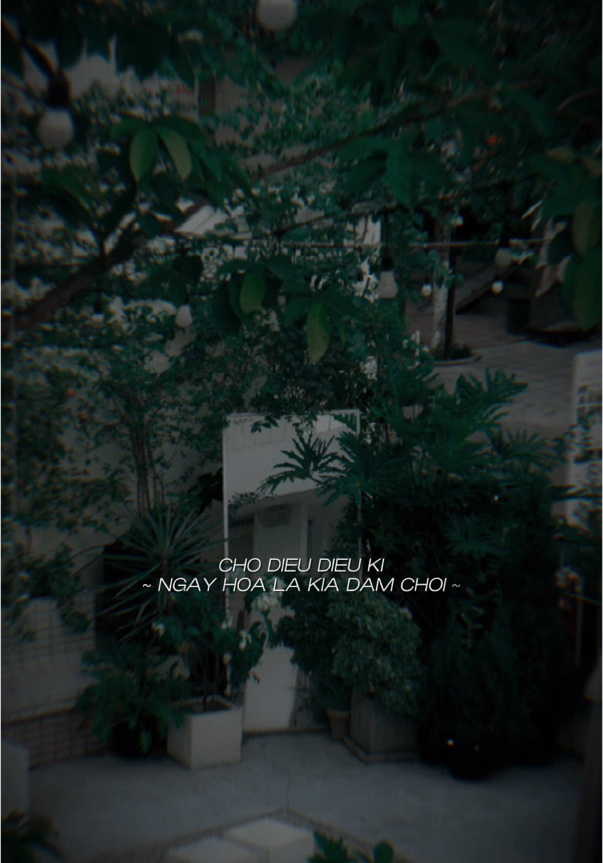 Chờ điều diệu kì ngày hoa lá kia đâm chồi  #CapCut #ngoaile #haytraochoanh #remix #buoichill☀️ #caubuoi #pmtcb 